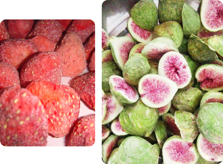 FREEZE Dried Fruits & Vegetables