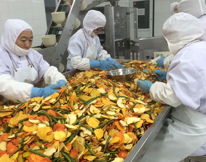 Vacuum Fried Vegetable &fruits