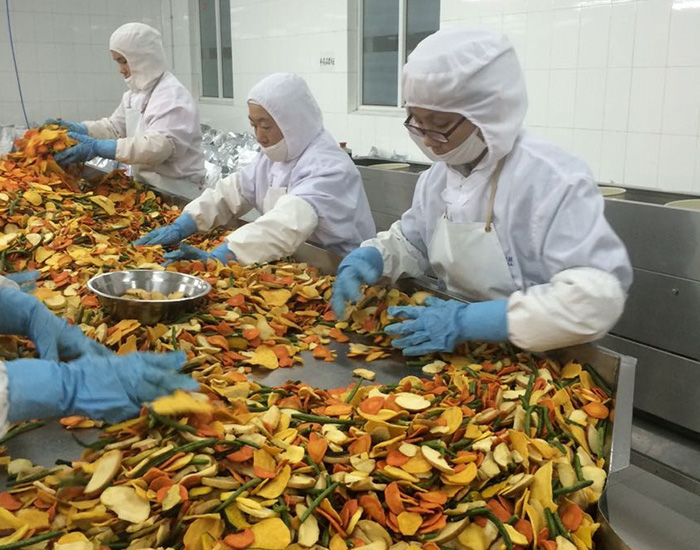 Vacuum Fried Vegetable &fruits