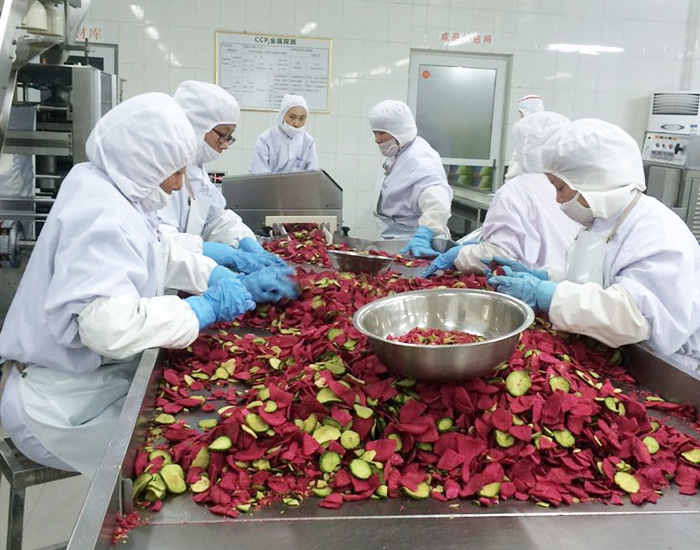 Vacuum Fried Vegetable &fruits